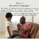 What is  Receptive Language?